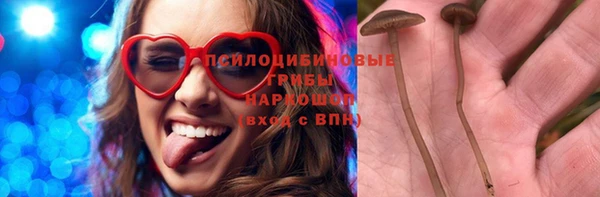 прущий лед Осташков