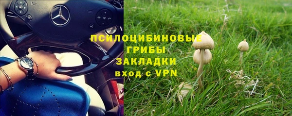 круглые Пестово