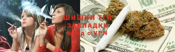 прущий лед Пересвет