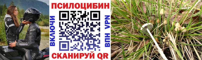 Галлюциногенные грибы Magic Shrooms  Кольчугино 