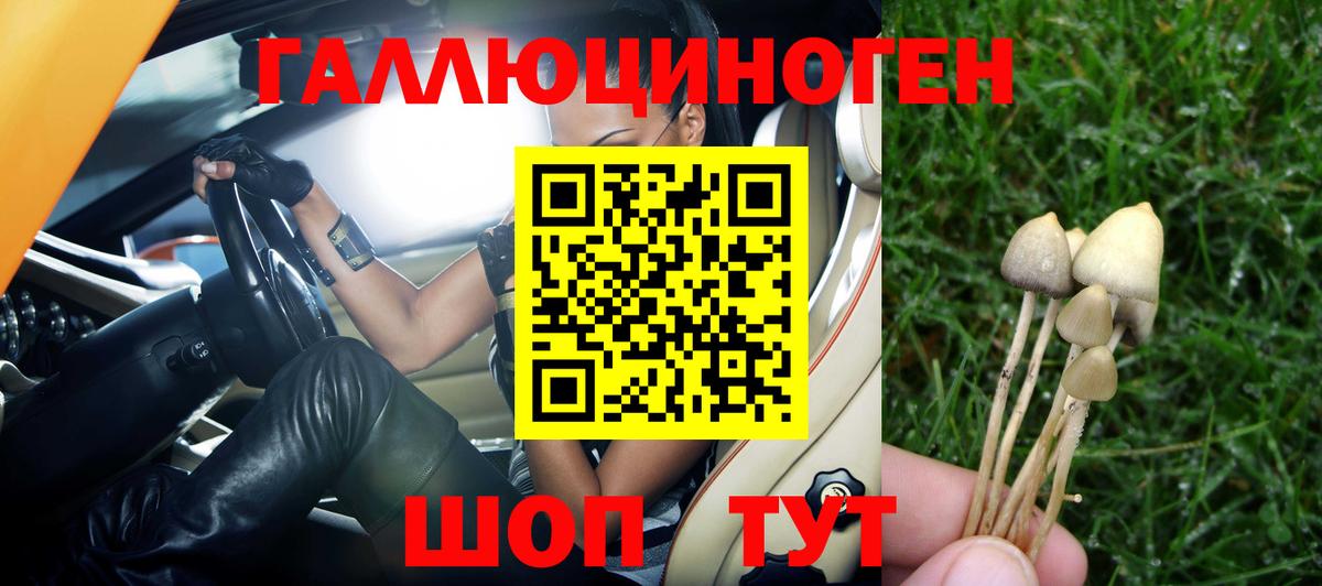 Кольчугино  Галлюциногенные грибы прущие грибы  Вход с VPN  Галлюциногенные грибы MAGIC MUSHROOMS 
